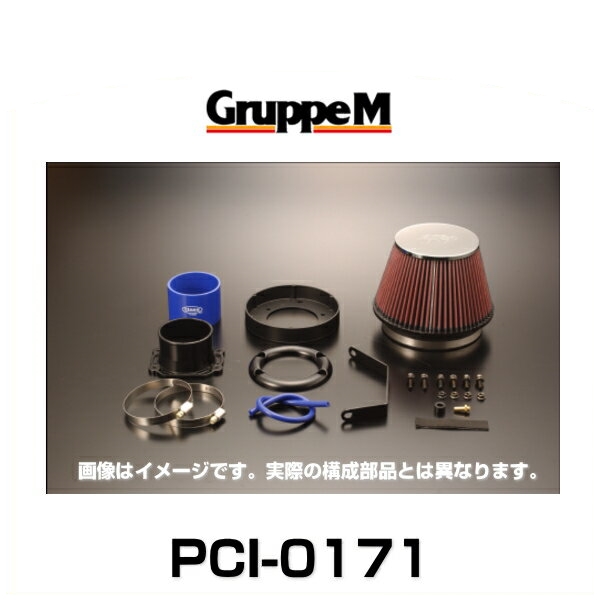 GruppeM グループエム PCI-0171 POWER CLEANER パワークリーナー TT 8N(A4)