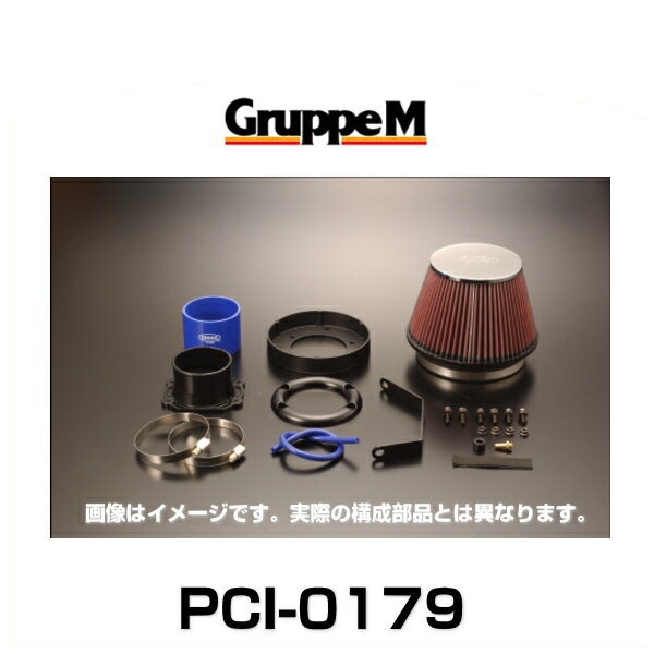 GruppeM グループエム PCI-0179 POWER CLEANER パワークリーナー TT 8N(A4)
