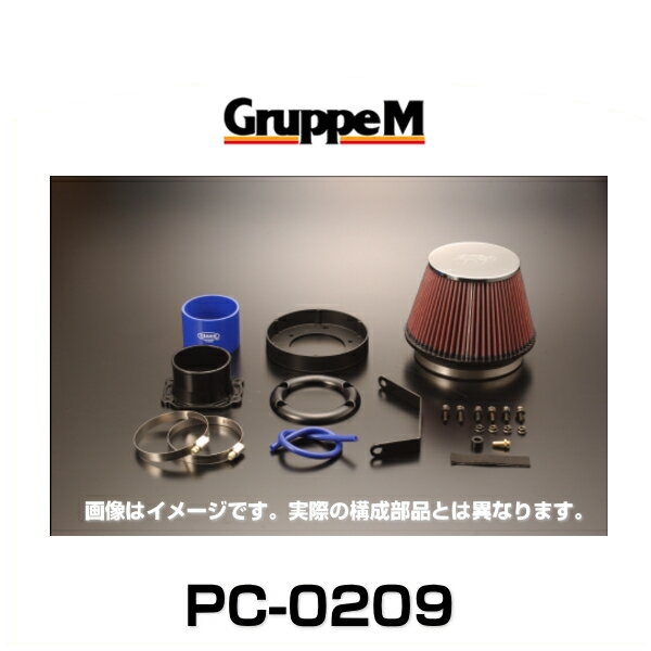 GruppeM グループエム PC-0209 POWER CLEANER パワークリーナー スカイライン