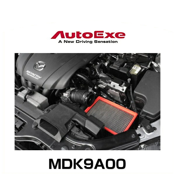 AutoExe オートエクゼ MDK9A00 乾式タイプエアーフィルター CX-3（DK系ガソリン車）