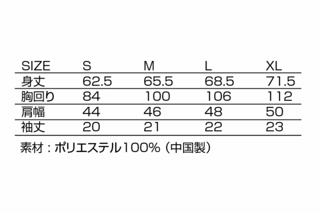 BLITZ ブリッツ No.13901 ブリッツミズノクイックドライTシャツ