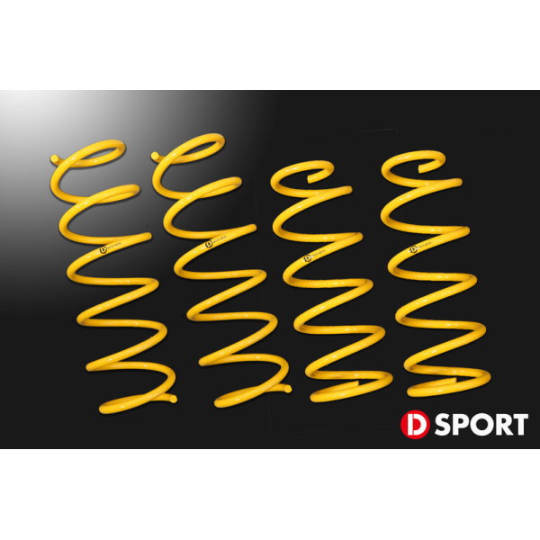 D-SPORT 48131-B310 X-SPECスプリング ロッキー 5BA-A210S 19.11〜