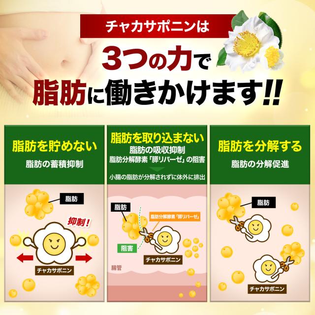 脂肪サポート タブレット 中性脂肪 下げるサプリ ダイエットサプリ