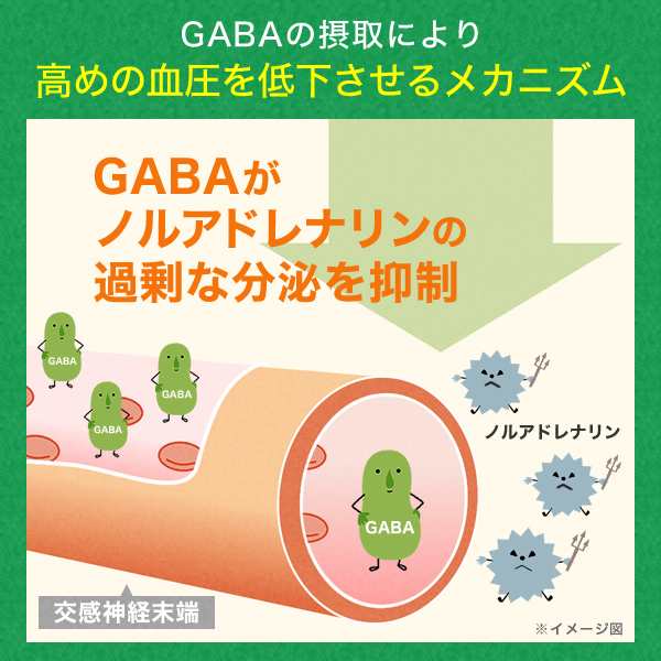 血糖値 血圧 ストレス 疲労感 サプリメント 機能性表示食品 トリプルケアプレミアム 桑の葉 GABA 田七人参 サラシア ギムネマ イヌリン  難消化性デキストリン サプリ 30日分