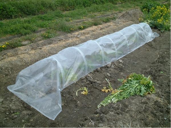 ▲PEトンネル 45cm×65cm×5m 10本組 6-5PE 防虫対策に 21,000円