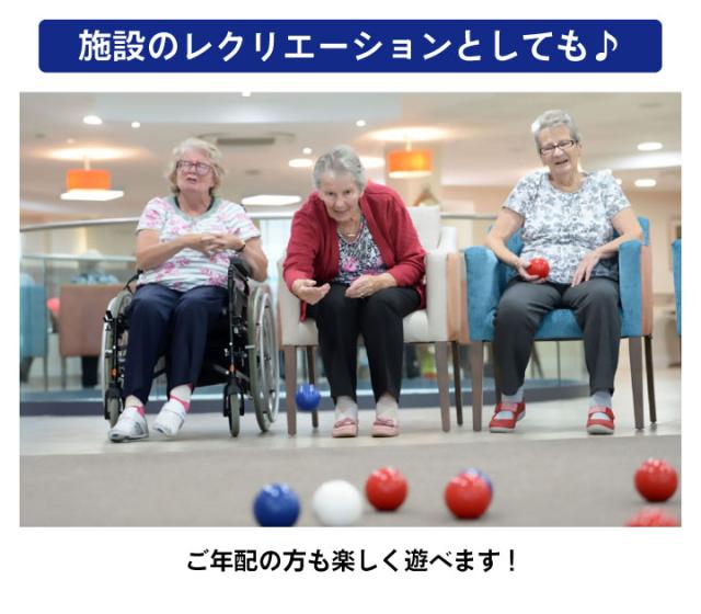 みんなでボッチャ 60125 トレードワン ボッチャ BOCCIA セット みんなでボッチャ 60125 トレードワン ボッチャ BOCCIA セット