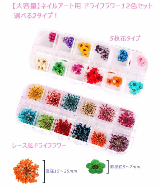 ネイル パーツ 花 押し花 12色セット ドライフラワー 収納ケース付き 5枚花 レース花 ジェルネイル レジン デコの通販はau Pay マーケット Eenail Select