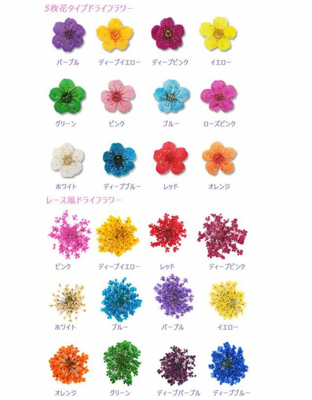 ネイル パーツ 花 押し花 12色セット ドライフラワー 収納ケース付き 5枚花 レース花 ジェルネイル レジン デコの通販はau Pay マーケット Eenail Select