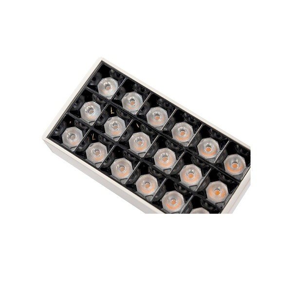 BRID LED SPOT LIGHT for PLANTS 10W Cool White 照明 植物 光合成