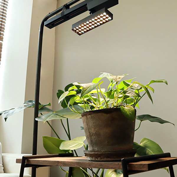 BRID LED SPOT LIGHT for PLANTS 20W Cool Black 照明 植物 光合成