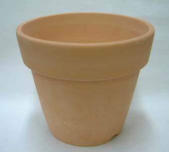 洋蘭 素焼き鉢 ５ ５号 ６枚 植木鉢 鉢 蘭 らん ラン 園芸の通販はau Pay マーケット 所沢植木鉢センター