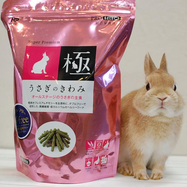 ハイペット うさぎのきわみ ８５０ｇ グルテンフリー ペレットの通販はau Pay マーケット うさぎ専門店の食彩 Truegrasses