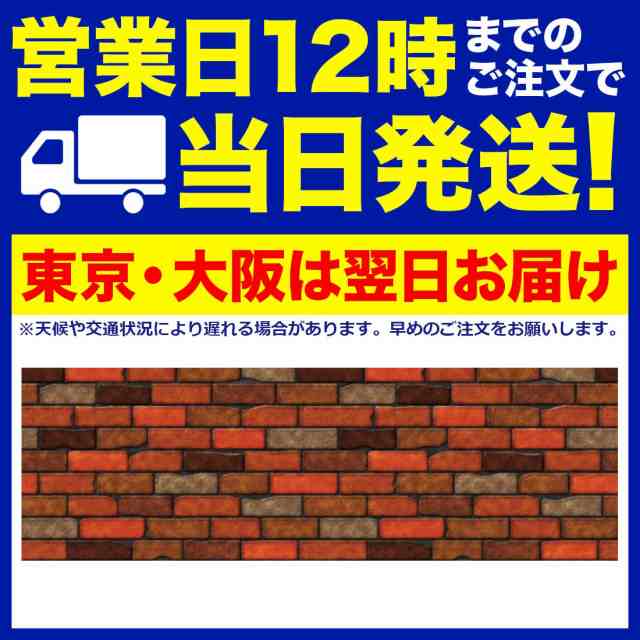 イベント用垂れ幕 | ビニール 幕 新 レンガ シック H600mm×50m巻 | セール 祭事 販促 店舗 飾りの通販はau PAY マーケット -  ウリサポ