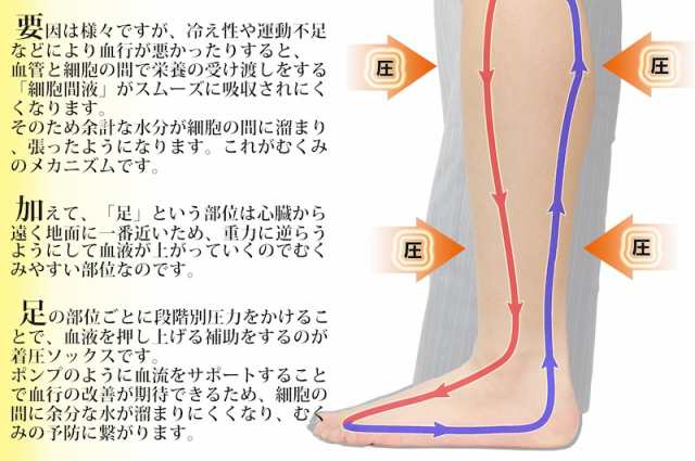 男の着圧ハイソックス 靴下 メンズ 着圧 弾圧 ソックス 1足の通販はau Pay マーケット 靴下の店 男気主義