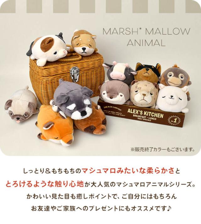 マスコット ぬいぐるみ ねむねむアニマルズ プレミアム 猫 くま