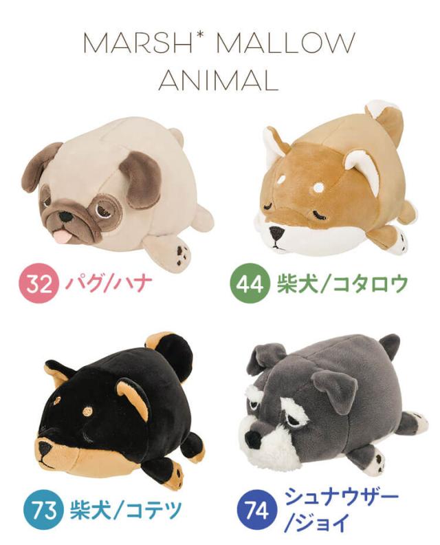 オキニちみたん　マスコットぬいぐるみ　5体セット 2025年最新】ちみたん ぬいぐるみの人気アイテム - メルカリ
