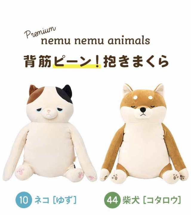 抱き枕 背筋が伸びる ぬいぐるみ 動物 洗える プレミアムねむねむアニマルズ 背筋ピーン抱きまくら 姿勢矯正 アニマル イヌ 猫 コタロウ の通販はau Pay マーケット Hauhau