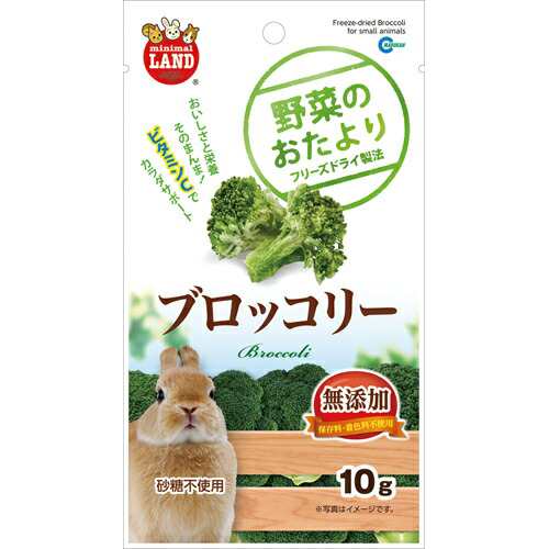 【36個セット】 ミニマルランド 野菜のおたより ブロッコリー 10g ML-81