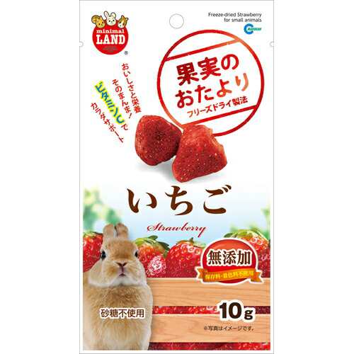 【36個セット】 マルカン 果実のおたより いちご 10g