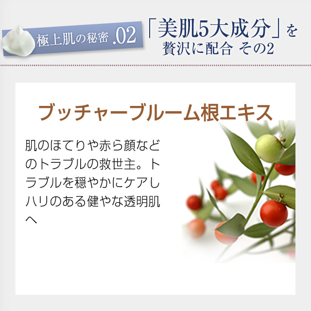 洗顔料 洗顔フォーム 在庫処分特価 リリスドール ムースコンフォート100ml の通販はau Pay マーケット アトリエコスメ Au Pay マーケット店