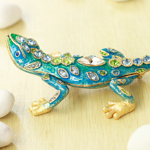 メキシコ トカゲのオブジェクト メキシコ トカゲのオブジェクト メキシコアオハリトカゲ トカゲ図鑑