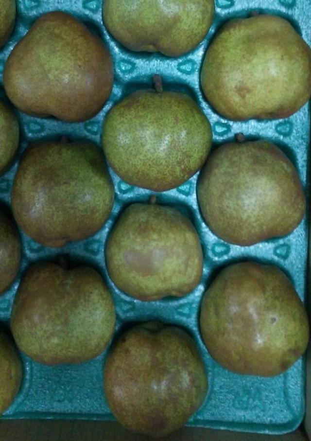 ラ フランス 山形県産 贈答用 ３kg 中玉 ９玉 １１玉入り 予約商品の通販はau Pay マーケット 山形のうんまい果物の店