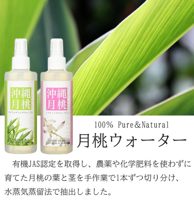 月桃 化粧水 月桃水 月桃蒸留水 シマ月桃 200ml×5本 送料無料 日本月桃 フローラルウォーター 月桃葉 月桃エキス フローラルウォーター ハーブウォーター スプレー 沖縄土産 月桃 化粧水 月桃水 月桃蒸留水 シマ月桃 200ml×5本 送料無料 日本月桃