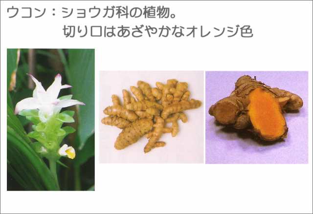ウコン サプリ ウコン粒 ウコンサプリメント 秋ウコン 醗酵ウコン粒 600粒×3個 琉球王朝秘伝 琉球バイオリソースの通販はau PAY マーケット  - 河野商店