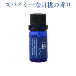 月桃精油 月桃 エッセンシャルオイル シマ月桃 日本月桃 5ml 送料無料 おうち時間 癒し 気分転換 沖縄土産 ご当地お土産