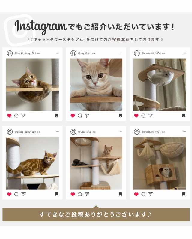 つっぱりキャットタワー ラバーウッド Sクラス キャットタワー 