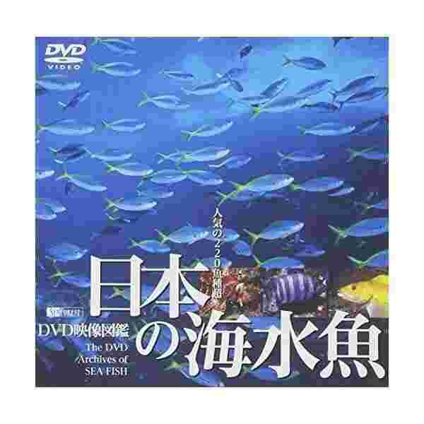 シンフォレストdvd 日本の海水魚 Dvd映像図鑑の通販はau Pay マーケット わんわんショップ Au Wowma 店