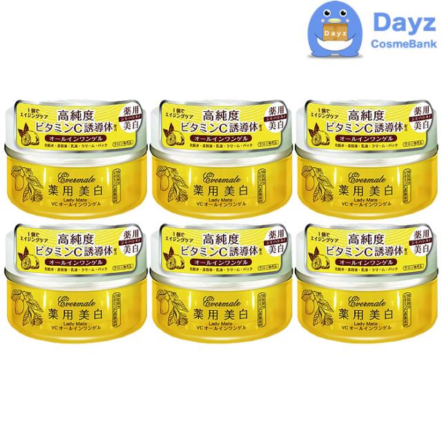 アロインス レディメイト VC オールインワンゲル 120g 6点セット　美容液 化粧水　エバーメイト ロカイレイ ろかいれい 蘆薈麗