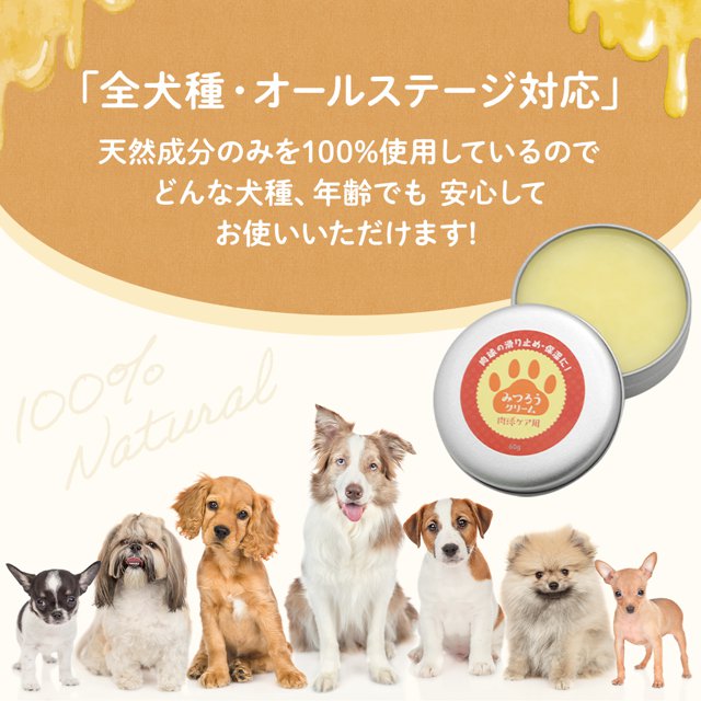 メル 日本ミツバチ 蜜蝋 肉球クリーム 大容量スティック20本 無添加 獣医師推奨】大容量リップ みつろうクリーム My Cute Family