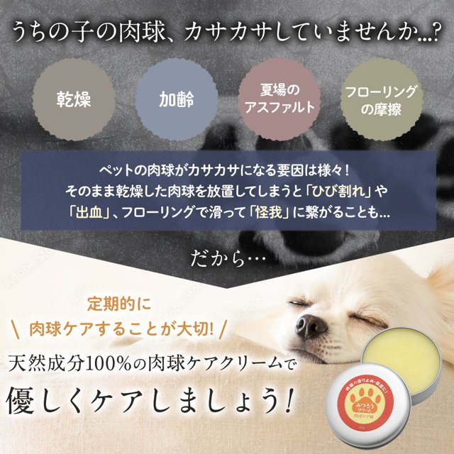 メル 日本ミツバチ 蜜蝋 肉球クリーム 大容量スティック20本 無添加 国産 天然みつろう 肉球クリーム 30g 無添加・無香料 犬猫用