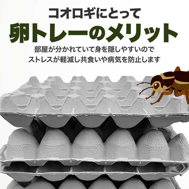 Amazon | A'sTool 卵トレー 卵パック 紙製 コオロギ デュビア