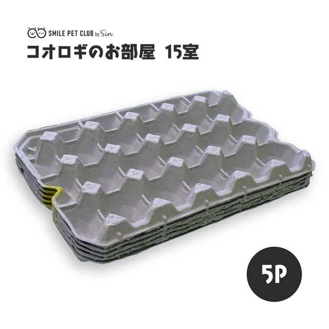 815N2XpHfEL._UF894,1000_QL80_.jpg