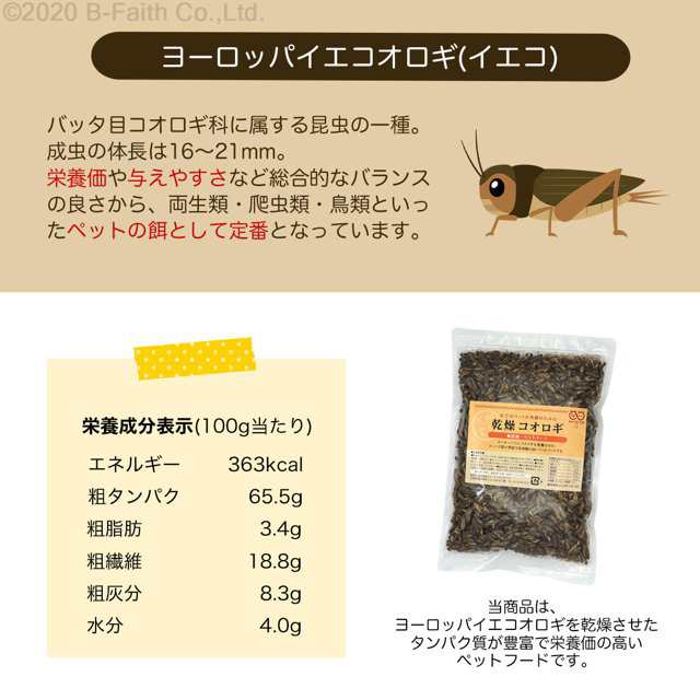 乾燥 コオロギ 600g (約6000匹〜6600匹)イエコオロギ 食用 爬虫類 観賞魚 小動物 鳥類