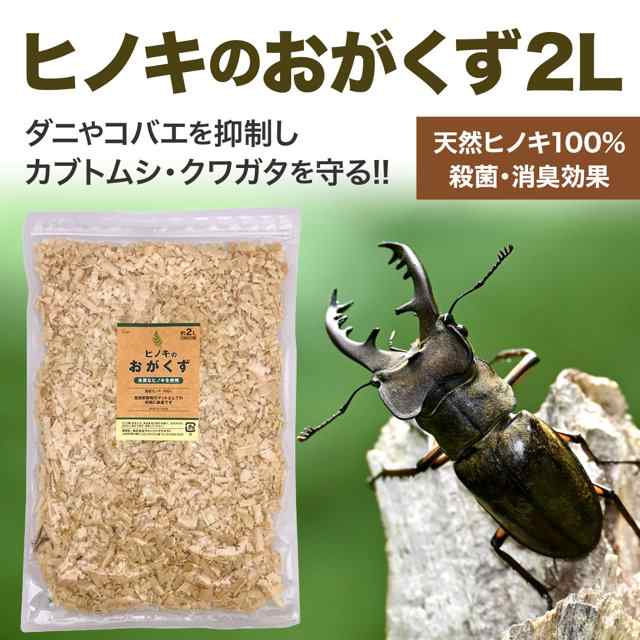 国産 ひのき おがくず チップ 2L 乾燥 ハードタイプ ヒノキ ウッドチップ 飼育マット 床材 防虫 防ダニ ダニ 除け 対策 クワガタ カブトの通販はau  PAY マーケット - 雑貨イズム | au PAY マーケット－通販サイト