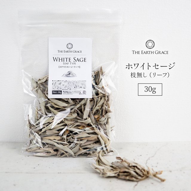 高品質 無農薬 ホワイトセージ 枝無し (リーフ) 約30g