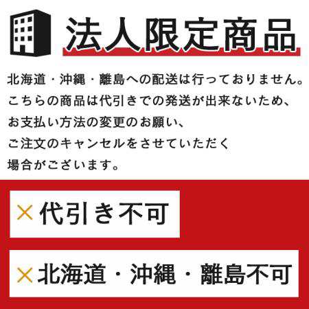 レグルス インバーター直流溶接機 RAA-200D 【法人様限定】【代金引換不可】【北海道・沖縄・離島不可】