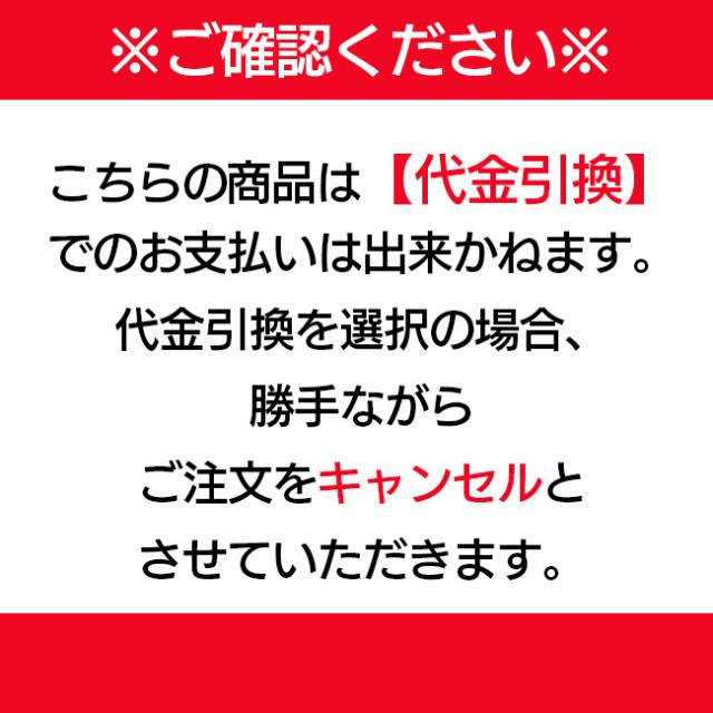 レグルス インバーター直流ＴＩＧ溶接機 RTD-200 【代金引換不可】【北海道・沖縄・離島不可】_8