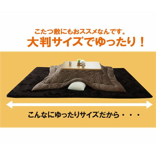 ラグ こたつ敷き布団 長方形 大きい 幅広ラグ 約220×400cm | 冬 あったかい あたたかい 暖かい 温かい 暖房_3
