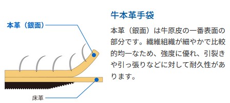 5双セット シモン 作業用手袋 牛本革手袋 CG-990_4
