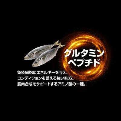 公式 きたしん 鍛神（きたしん）サプリは嘘で効果なし？使ってみた私の評判をレビュー！