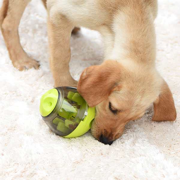 犬 留守番 おもちゃ 知育玩具 1人遊び 早食い防止 転がる 動く おやつボール ダイエット 運動不足解消 ペット 餌 おススメ 運動 トレーニの通販はau Pay マーケット Crafters Market