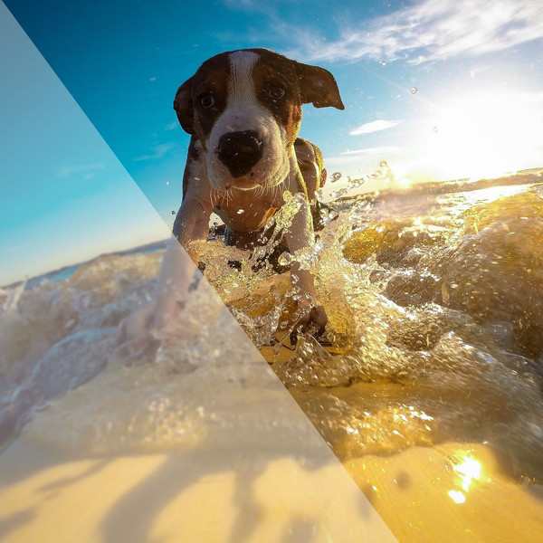 Gopro アクセサリー ゴープロ 8 Hero8 対応 曇り止め ハウジング アンチ フォグ プレート 曇る 湿気 結露 防止 湿気取り フォグ 12枚 水の通販はau Pay マーケット Crafters Market