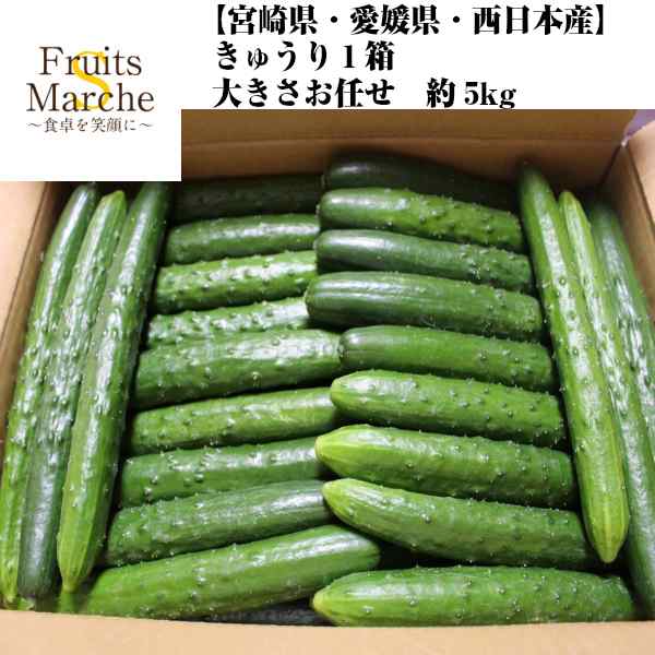 送料無料 宮崎県 愛媛県 西日本産 きゅうり 1箱 大きさお任せ 約5kg 北海道沖縄別途送料加算 冷やしきゅうり きゅうり食べの通販はau Pay マーケット 菜s フルーツマルシェ