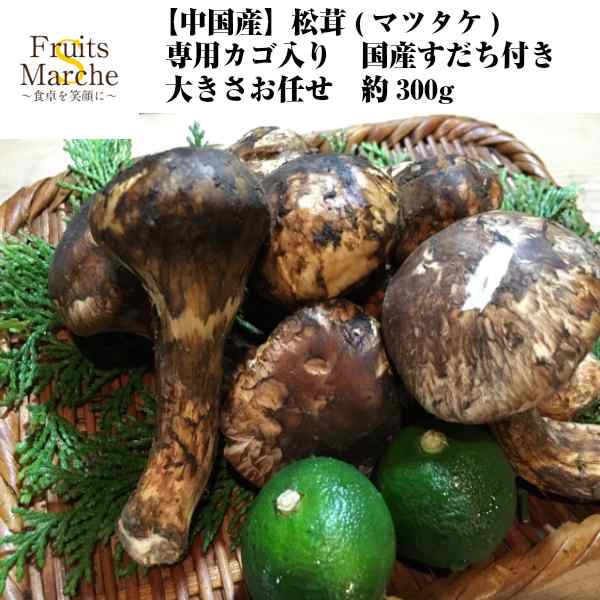 クール便送料無料 中国産 松茸 マツタケ 専用カゴ入り 国産すだち付き 大きさお任せ 約300g 北海道沖縄別途送料加算 まいたけの通販はau Pay マーケット 菜s フルーツマルシェ