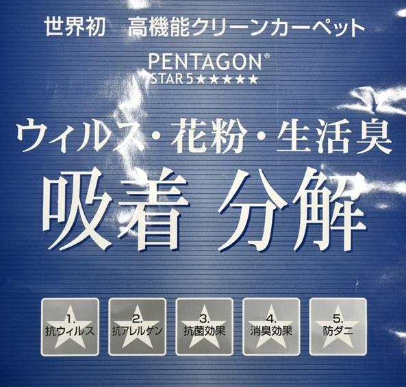 日本製 高機能カーペット 4.5畳 絨毯 抗ウィルス 抗菌 防ダニ ペンタゴン 261×261cm 江戸間 四畳半 正方形 KYY 【Ｐ-2000／4.5畳】_1
