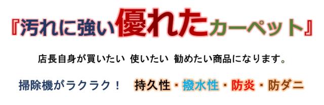 [サイズオーダー可能] 日本製 カーペット 団地間 4.5畳 255ｘ255cm 撥水 はっ水 ナイロン 防汚 防炎 防ダニ 抗菌 制電 裏麻 絨毯 TOLI 【グレース255×255】_1